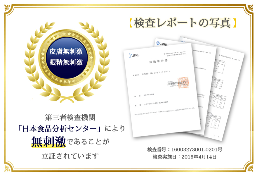 検査レポートの写真