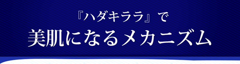 『ハダキララ』で美肌になるメカニズム
