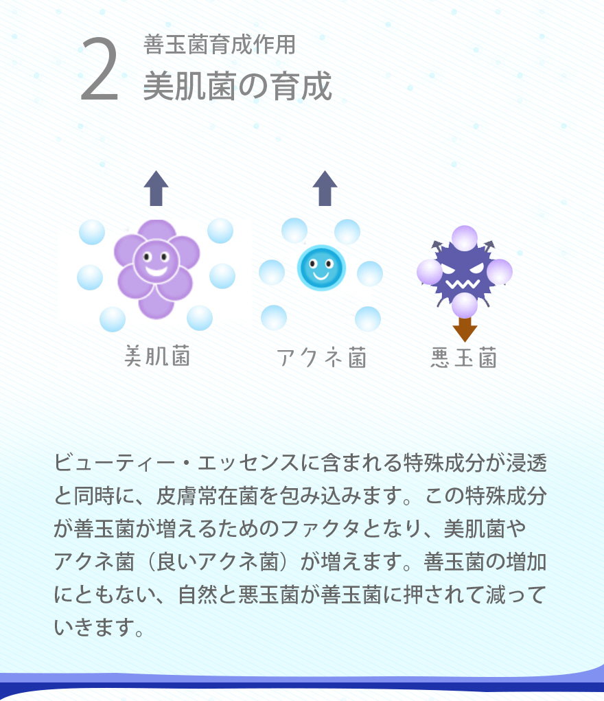 善玉菌育成作用美肌菌の育成