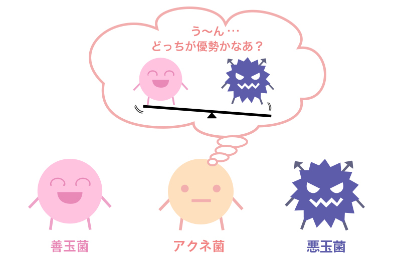 3種類の菌