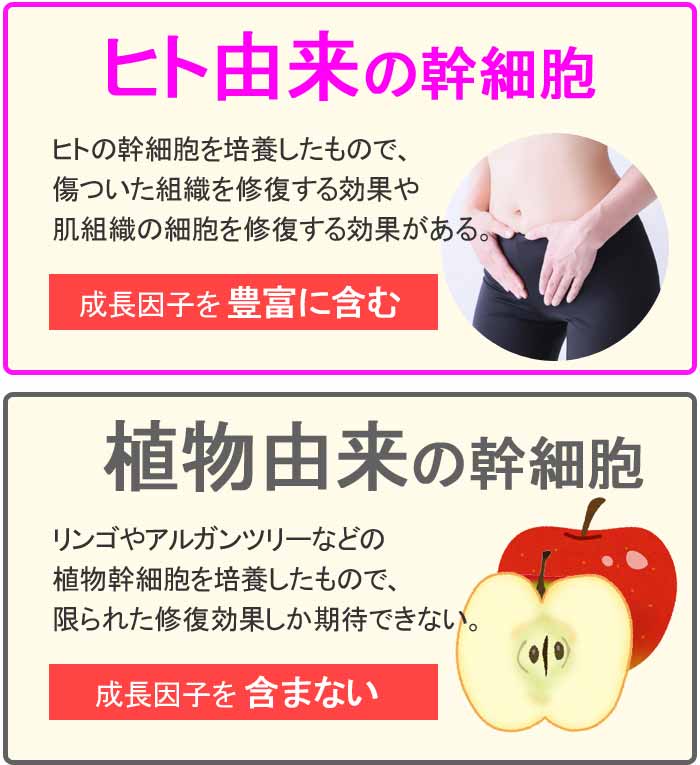 ヒト由来と植物由来の違い