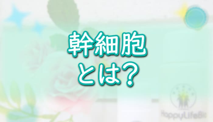 【幹細胞とは？】成分の種類・若返り効果・副作用・成長因子など徹底解説