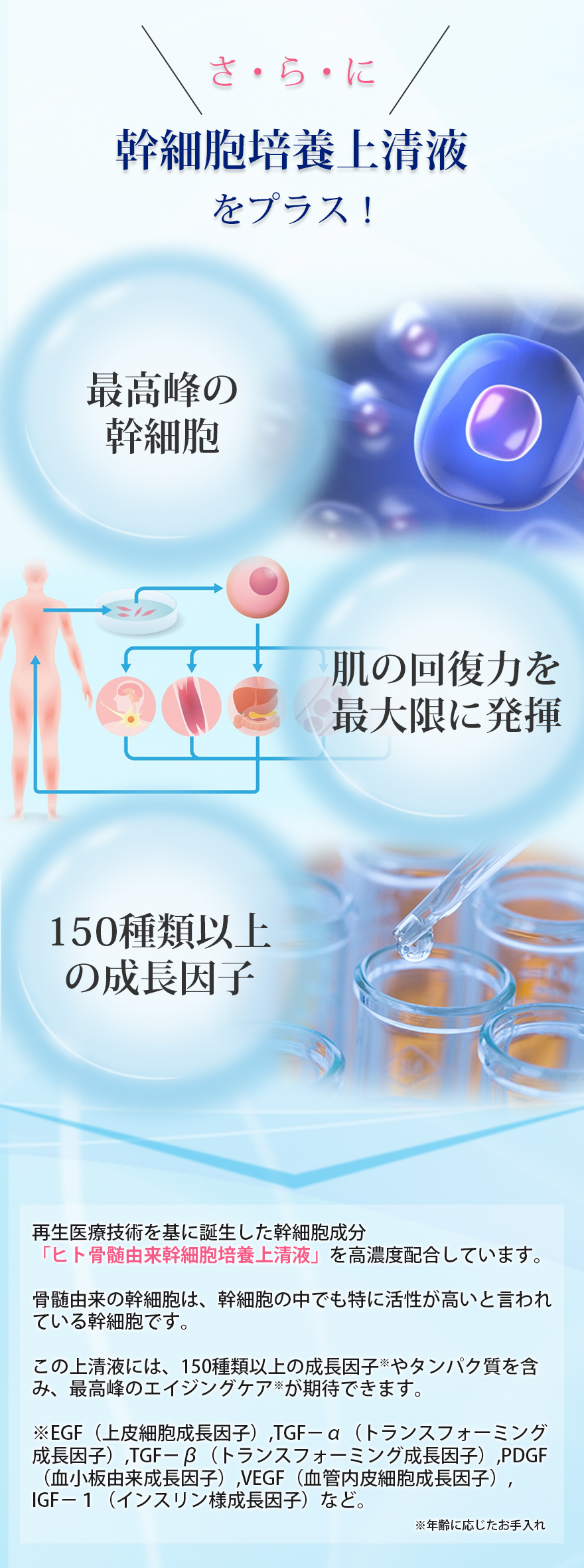 成分3:ヒト幹細胞